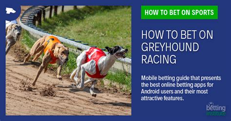 How To Bet On Greyhound Racing .